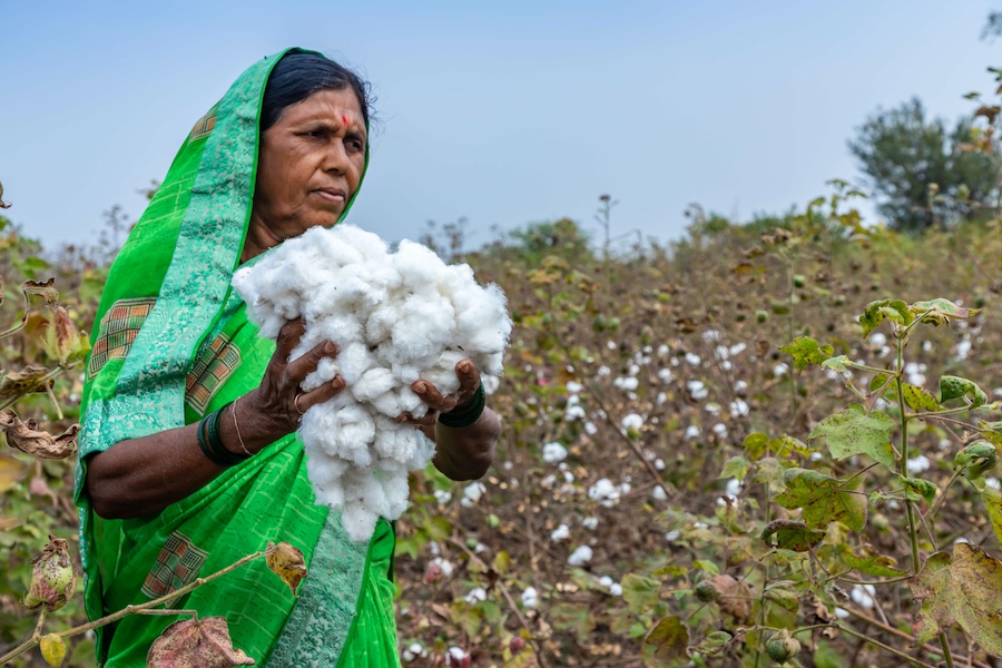 Female farmer with RCS Cotton, © 2025 Credit Masban Pereira for AbTF