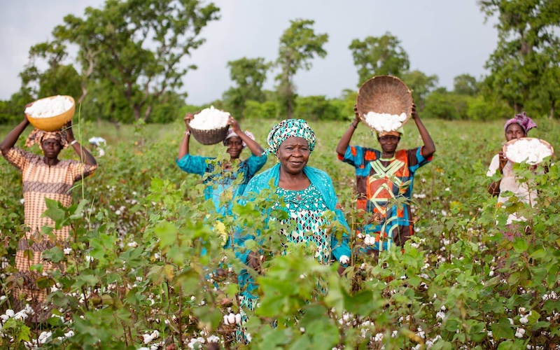 Tata Djire, Agronomist, with cotton farmers in a field in Togoya Photo Credit: Better Cotton/Seun Adatsi. Location: Kolondieba, Mali. 2019