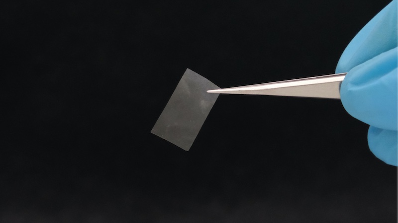 The thin mycelial film is almost transparent and has good tensile strength. It could be used as a living bioplastic © 2025 Picture: Empa The thin mycelial film is almost transparent and has good tensile strength. It could be used as a living bioplastic © 2025 Picture: Empa