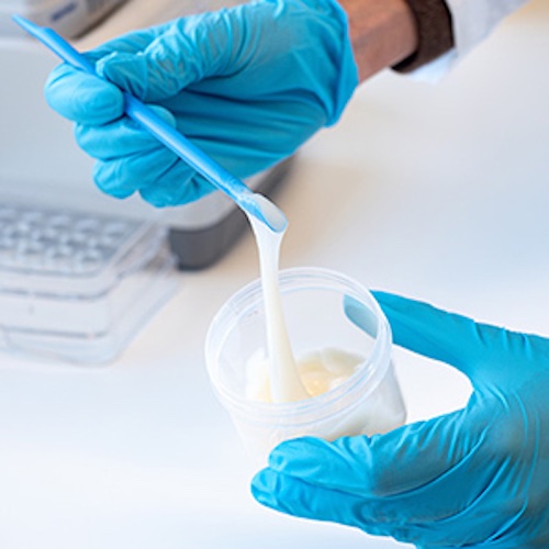 Thanks to the auxiliary molecules in their extracellular matrix, the mycelial fibers are good natural emulsifiers – they are even safe to eat. © 2025 Image: Empa Thanks to the auxiliary molecules in their extracellular matrix, the mycelial fibers are good natural emulsifiers – they are even safe to eat. © 2025 Image: Empa