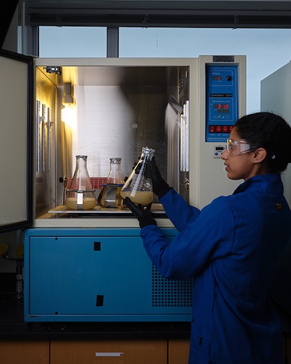 RPI graduate student Sahiti Tamirisakandala checks bacteria fermenting plastic and turning it into bio-inspired silk (c) 2024 rPI