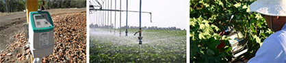 Photo credit: Cotton Australia Photo credit: Cotton Australia