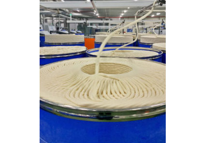 Card Sliver in Spinning Mill © Jean-Paul Haessig Card Sliver in Spinning Mill © Jean-Paul Haessig