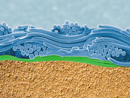 Functional membrane systems from Trans-Textil ensure that multi-layer composites with AQUAIR® are waterproof while maintaining comfort thanks to its high degree of breathability. (c) 2020 Covestro Functional membrane systems from Trans-Textil ensure that multi-layer composites with AQUAIR® are waterproof while maintaining comfort thanks to its high degree of breathability. (c) 2020 Covestro
