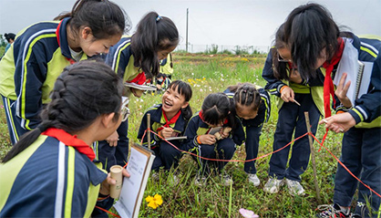 Biodiversity Exploration Activities © 2023 Y.L. Yang Foundation Biodiversity Exploration Activities © 2023 Y.L. Yang Foundation