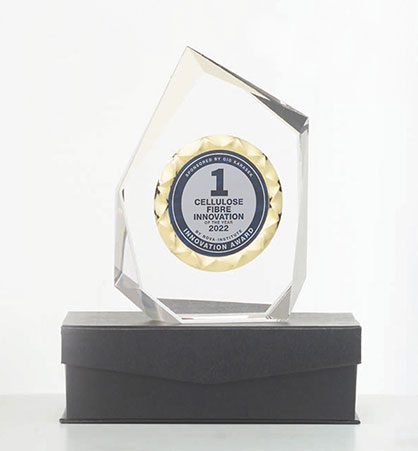 Innovation Award Trophy
Source: GIG Karasek