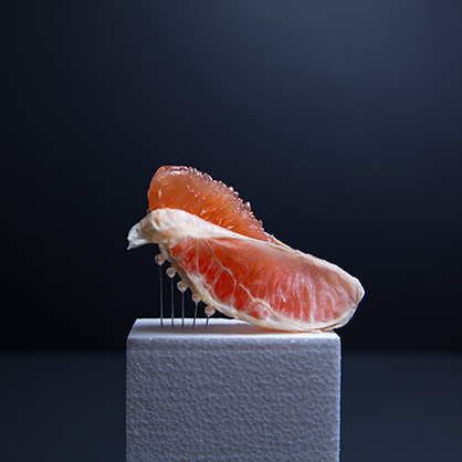 Credit:
ANA STRAZE, Forbidden Food, 2019
https://anastraze.wixsite.com/anastraze
@anastraze Credit:
ANA STRAZE, Forbidden Food, 2019
https://anastraze.wixsite.com/anastraze
@anastraze